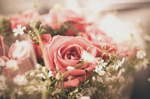 flowers-photography-pink-roses-vintage-F