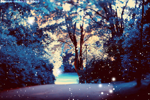 beautiful, fireflies and snow