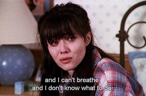90210, beverly hills and brenda walsh