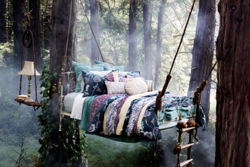 bed, bedroom and forest