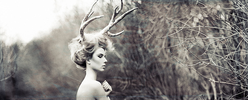 black & white,  horns and  woman