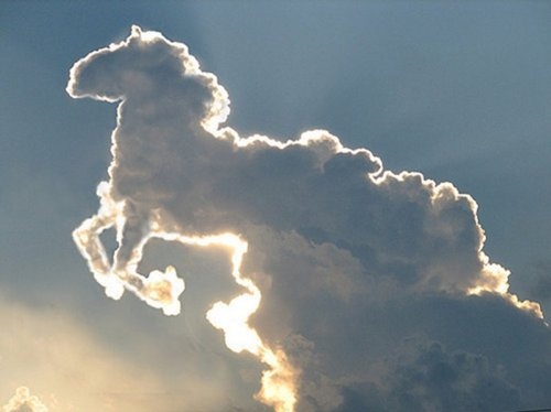 blue, cloud and horse