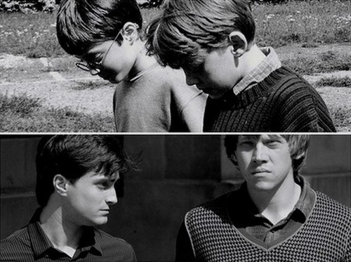 daniel radcliffe, harry and ron