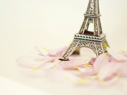 eiffel tour, flower and girly