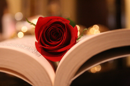 beautiful, book and flower