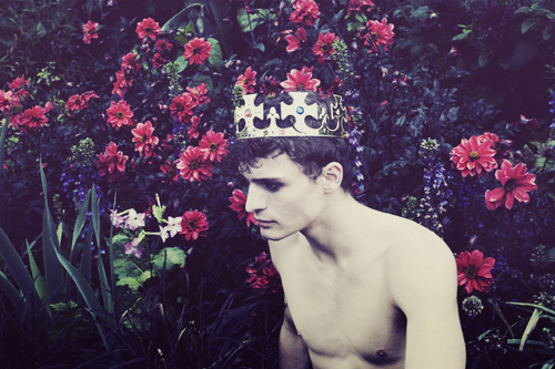 boy, crown and fairytale