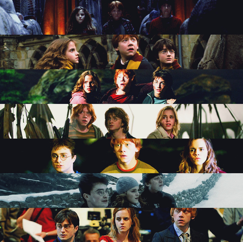 harry, hermione and potter