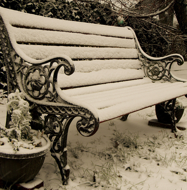 bench, photography and snow
