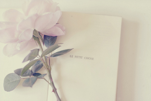 book, flower and french