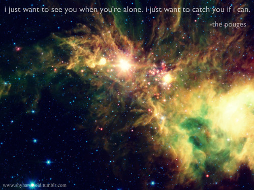 catch me if you can, i love you, i love you till the end, ireland, irish