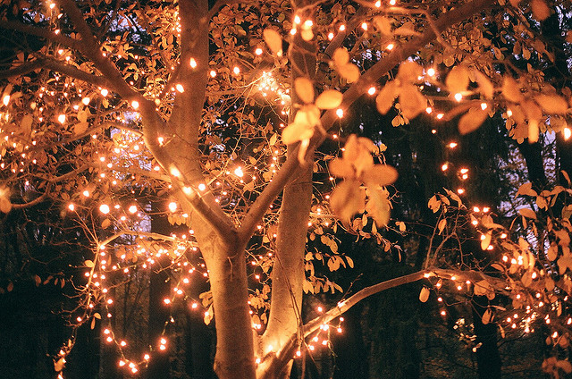 fairy, leaf and lights