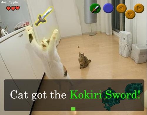 cat, ocarina of time and sword
