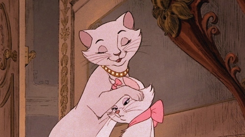 aristocats,  cat and  cute