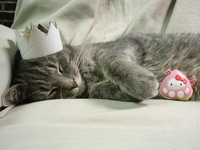  animals, cat, crown, cute, hello kitty