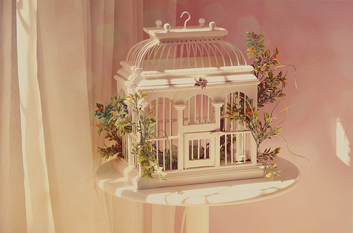 bird cage, flowers and girly