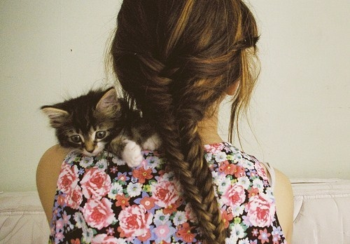 cat, cute and fashion