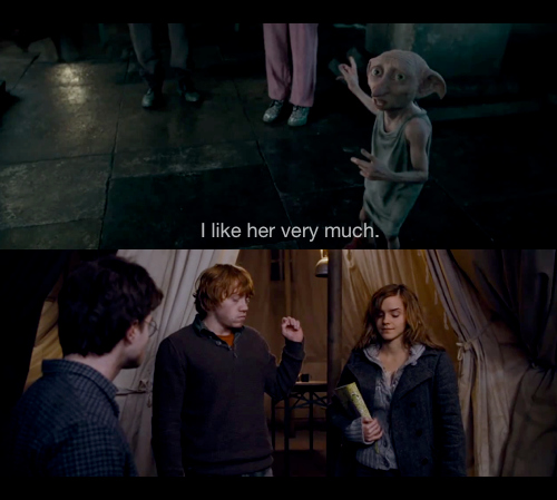 dobby, harry potter and hermoine