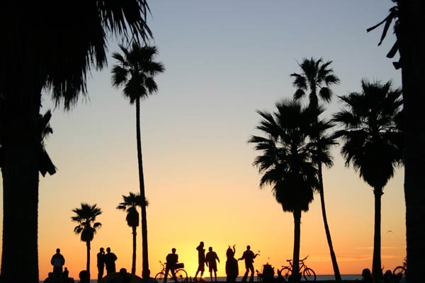 california, los angeles and palm tree