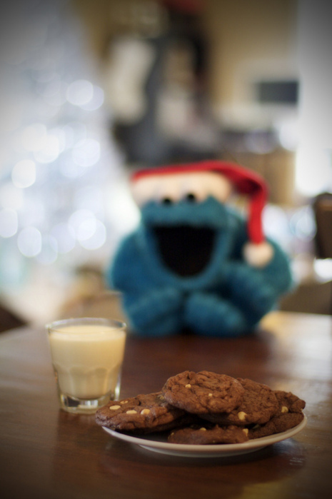cookie monster, cookies and haha