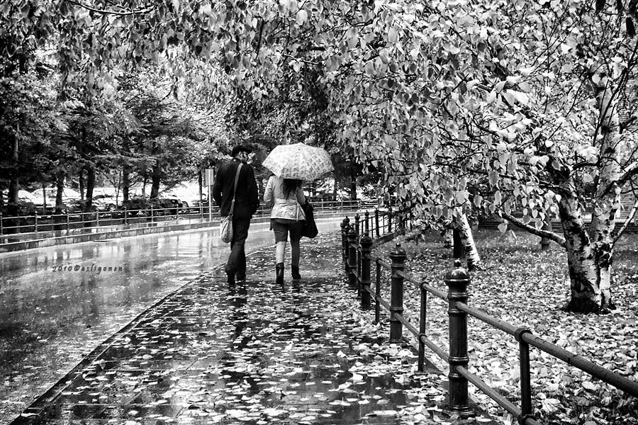 couple, park and rain