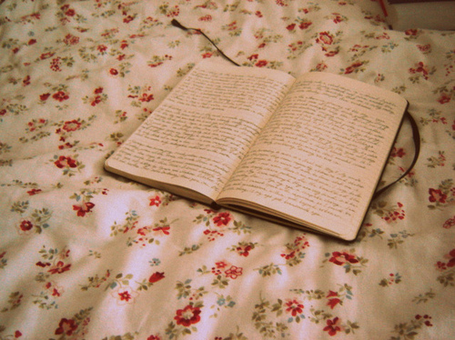 bed, book and diary