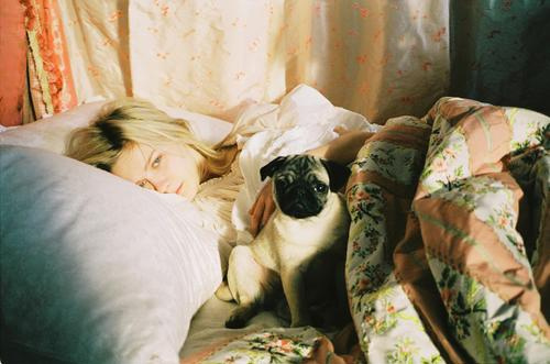 bed, dog and kirsten dunst