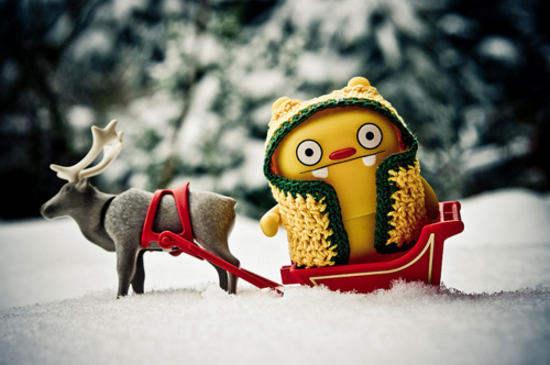 cute, photography and reindeer
