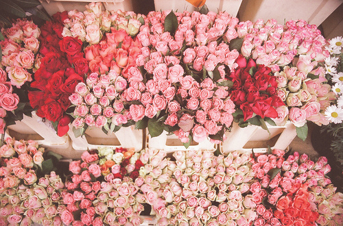 flowers, love and pink