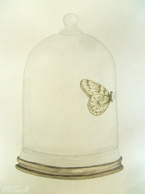 art, bell jar and butterfly