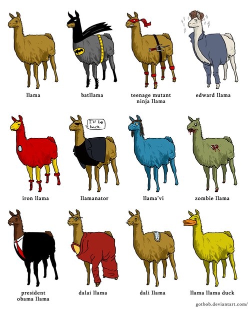 funny, gsayour and llamas
