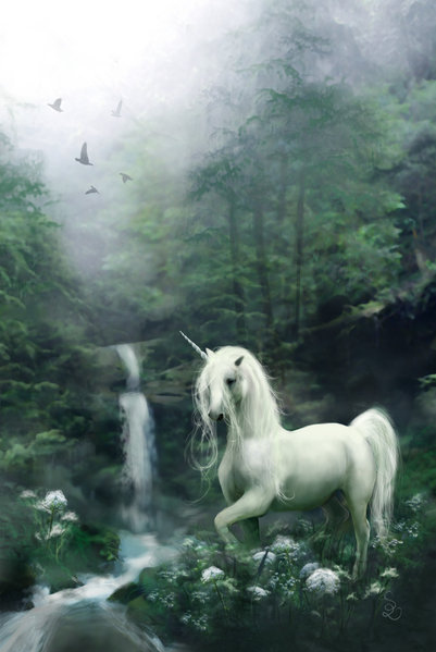 horse, magic and magical