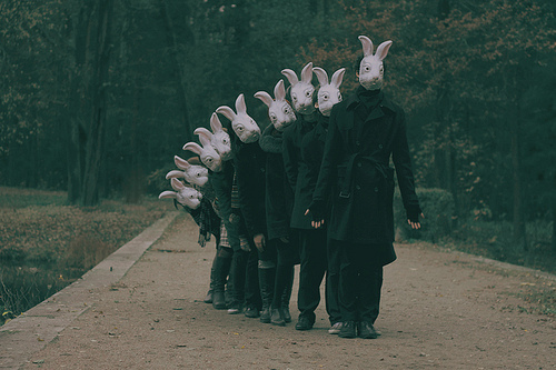 bunnies, bunny mask and line