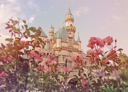 castle, cute and flowers