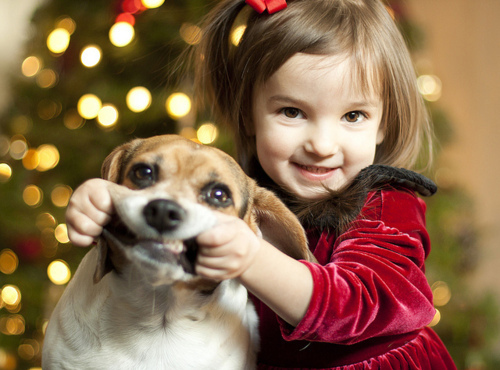 crianca, cute, dog, fofo, girl