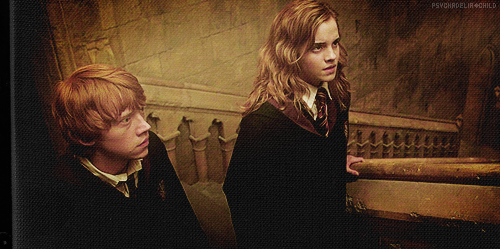 harry potter,  hermione and  meus