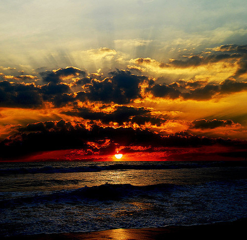 beautiful, beauty, colorful, love, ocean