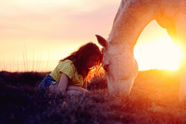 beautiful, girl and horse