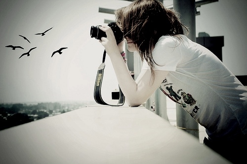 birds, camera and cool