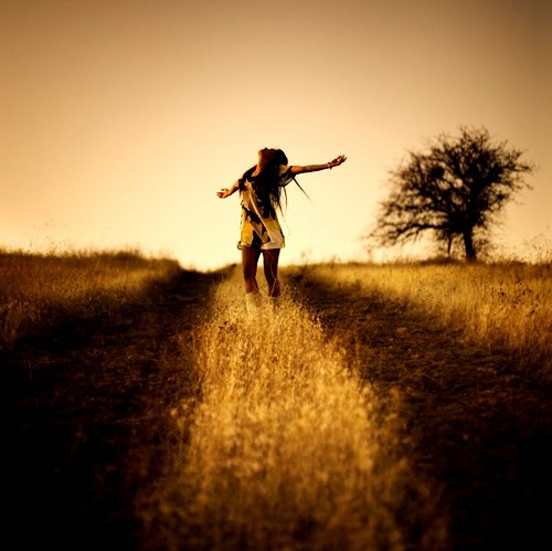 brown, feeling and field