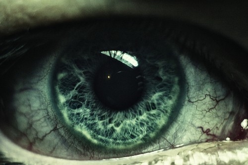 eye, green and photography