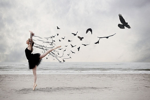 balet, birds and black