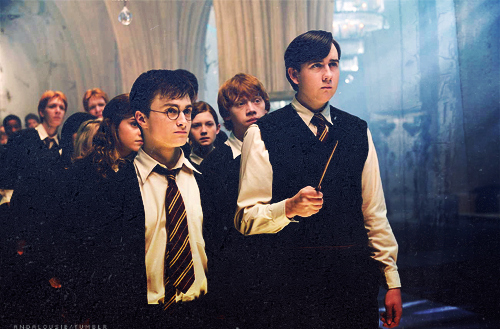 beauty, fred and george and fred weasley