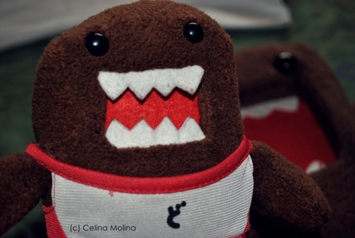 Cute+domo+pictures