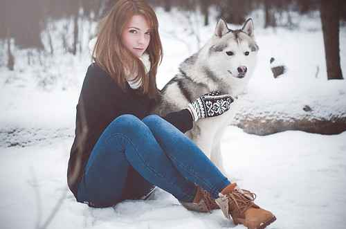 dog, girl and husky