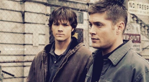 brothers,  dean and  dean winchester