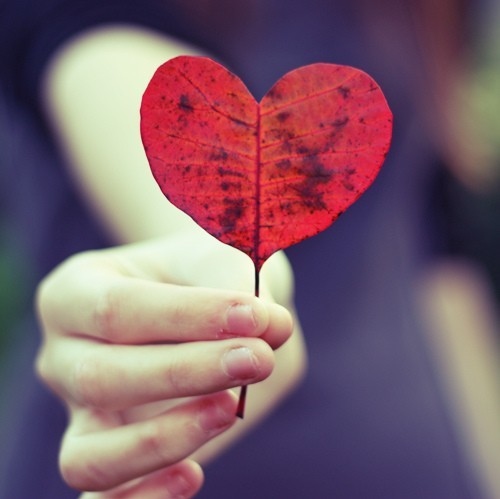 autumn leaves, corazon, heart, photography, valentine