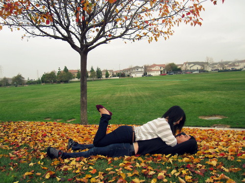 autumn, couple, cute, fall, leaves