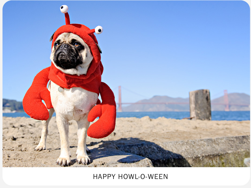 cute, halloween and lobster