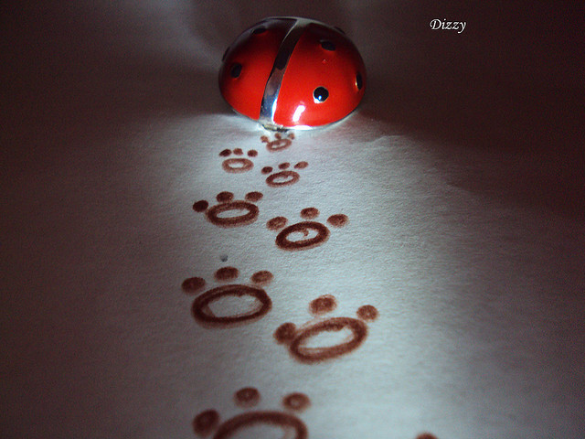 cute, i love it and ladybugs