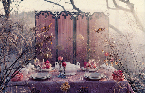 garden, roses and table